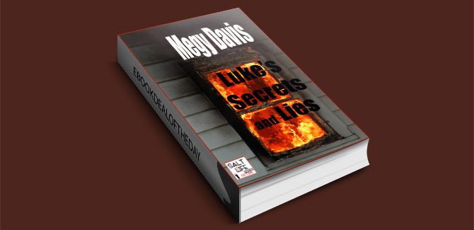 Luke's Secrets and Lies by Megy Davis
