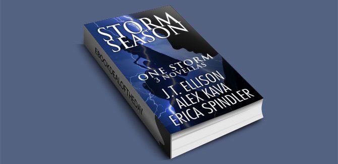 Storm Season - One Storm by Erica Spindler