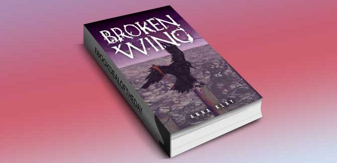 a literary fiction kindle book Broken Wing by Anna Klay