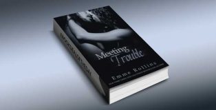 a romance kindle book "Meeting Trouble" by Emme Rollins