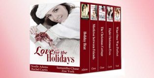 a contemporary romance christmas bundle "Love for the Holidays (five book Christmas bundle)" by Noelle Adams, Samantha Chase, Rachel Curtis, Zoe York