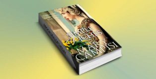 women's fiction romance for kindle "Simple Riches: That Second Chance, Book 3" by Mary Campisi