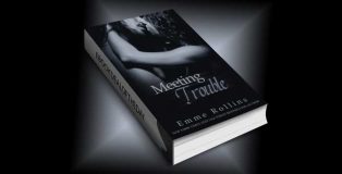 new adult romance ebook "Meeting Trouble" by Emme Rollins