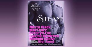 Steam: A Seductively Exclusive, Limited-Edition Six-pack of Steamy Romantic Novels" by Multiple Authors