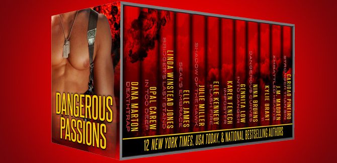 contemporary romantic suspense boxed set Dangerous Passions: 12 Tales of Contemporary Sexy Hot Alpha Heroes by various authors