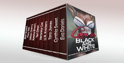 erotic romance boxed set "Love in Black and White (10 Story Interracial BWWM Super Bundle)" by Various Authors