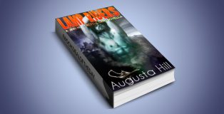 urban paranormal fantasy ebook "Lamp Riders: A Jinn Motorcycle Gang Novella" by Augusta Hill
