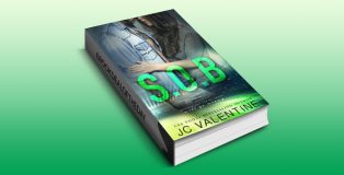 nalit sports romance ebook "S.O.B.: A Stepbrother Romance" by J.C. Valentine