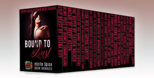BDSM romance box set "Bound to Lust: 21 Book MEGA Bundle (Excite Spice Boxed Sets)" by Selena Kitt + More