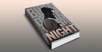 an erotic romantic suspense ebook "Burn Down the Night" by M O'Keefe