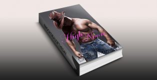 western erotic romance ebook "High Noon" by Delilah Bronson