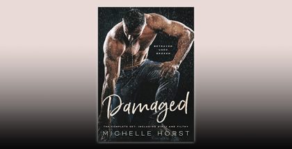 Damaged: The Complete Set Including DIRTY and FILTHY by Michelle Horst