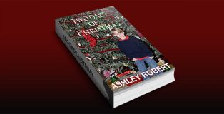 Two Days of Christmas by Ashley Robert