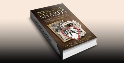 Picking Up The Shards by Anita M. Oommen