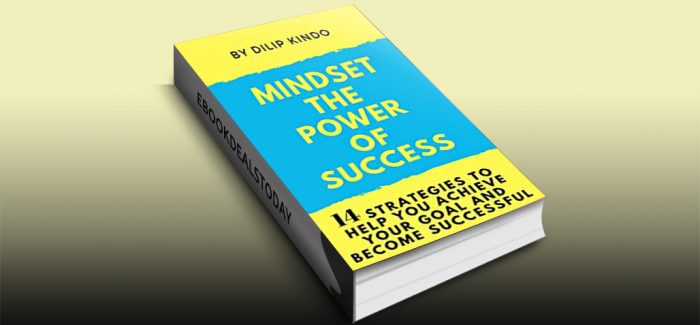 Mindset The Power Of Success by Dilip Kindo