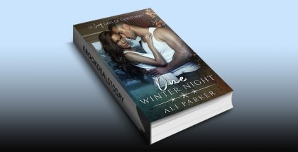 One Winter Night: A Sexy Bad Boy Holiday Novel by Ali Parker