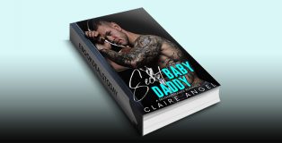 Secret Baby Daddy by Claire Angel