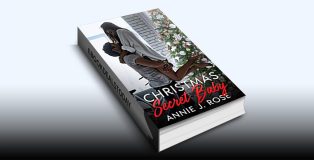 Christmas Secret Baby by Annie J. Rose