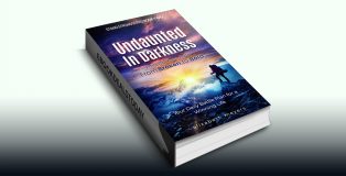 Undaunted in Darkness, Book 2 by Elizabeth Meyers