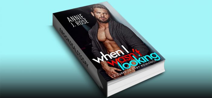 When I Wasn't Looking by Annie J. Rose