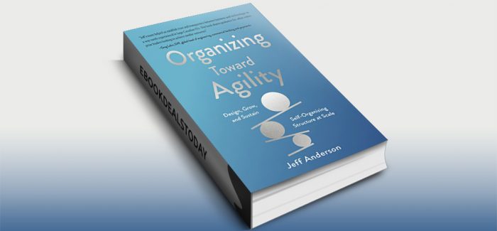 Organizing Toward Agility by Jeff Anderson