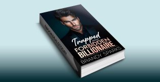 Trapped with My Forbidden Billionaire by Brandy Sparks