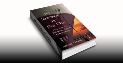 The Stowaway in First Class by Anthony DeSantis