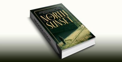 North of Sunset by Haley Ahern